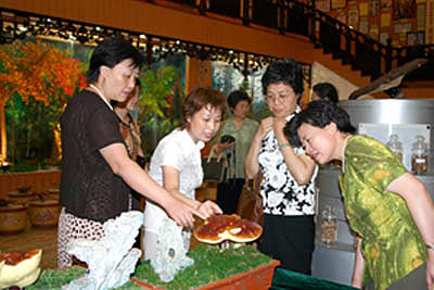 W66利来·国际