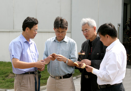 W66利来·国际 W66利来·国际