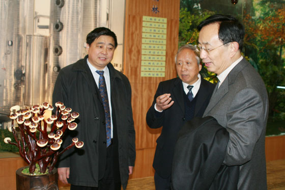 W66利来·国际 W66利来·国际