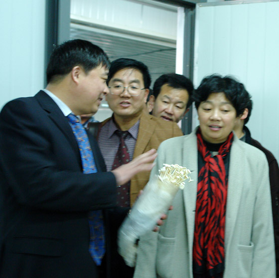 W66利来·国际